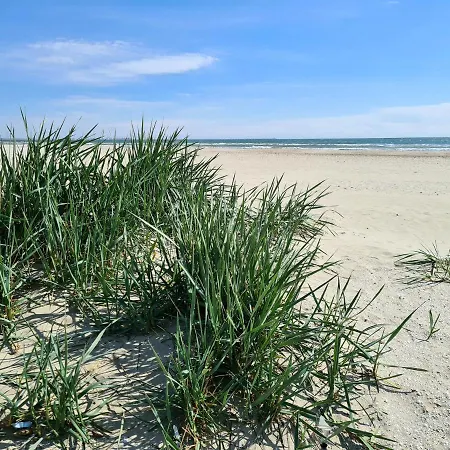 Mamaia Nord アパート