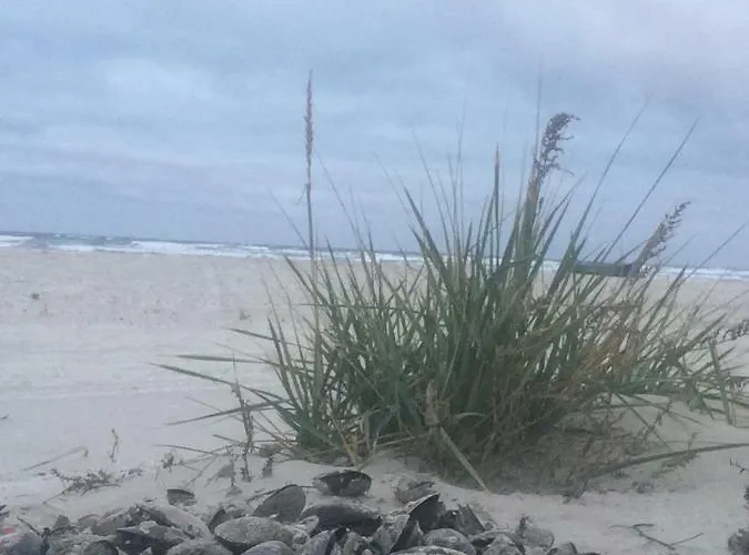 Mamaia Nord アパート ナボダリ