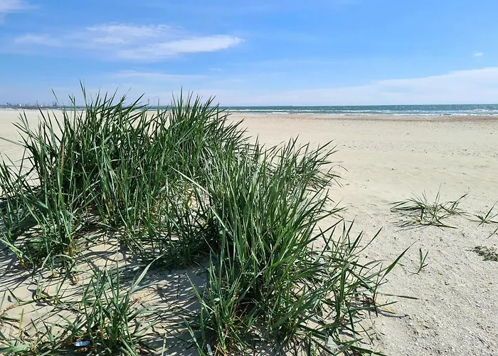 Mamaia Nord Apartman